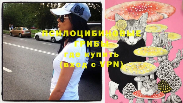 ГАЛЛЮЦИНОГЕННЫЕ ГРИБЫ Армянск