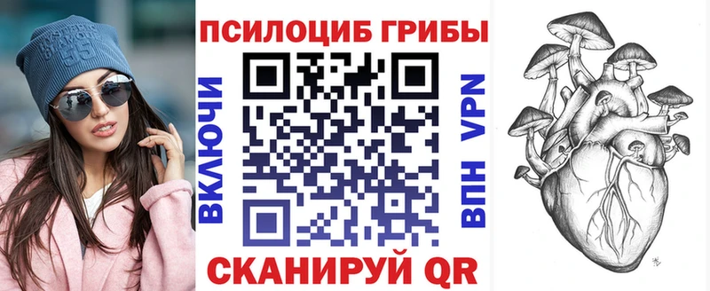 Галлюциногенные грибы MAGIC MUSHROOMS  где купить наркоту  Скопин 